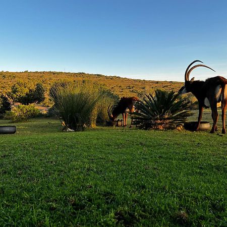 Baardbos Private Game Reserve Apartment Stilbaai Exterior photo