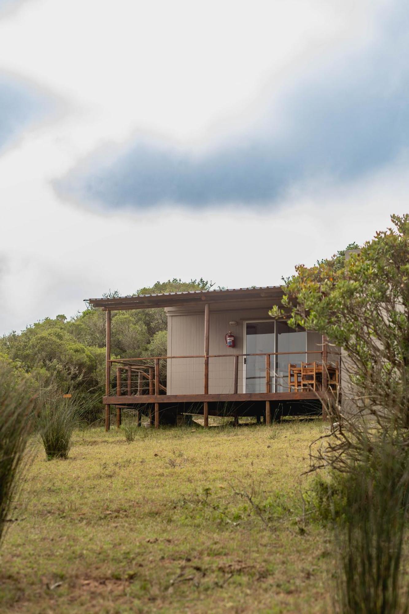 Baardbos Private Game Reserve Apartment Stilbaai Room photo