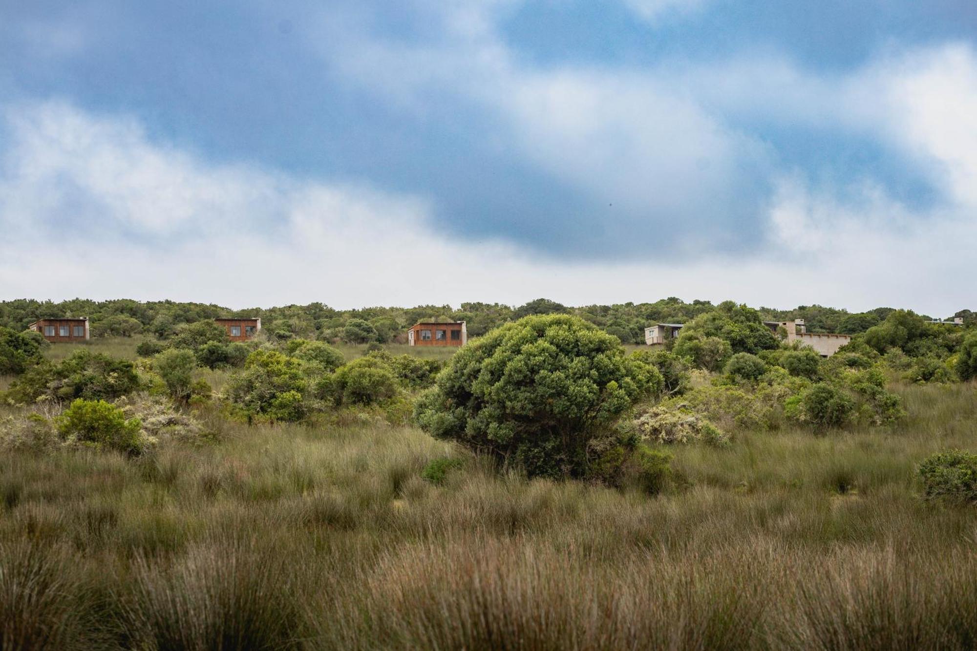 Baardbos Private Game Reserve Apartment Stilbaai Exterior photo